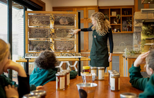 School holidays a buzz at bee school