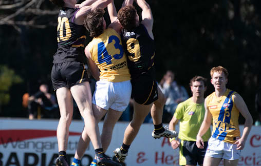 Murray Bushrangers bow out, but look to draft