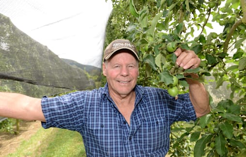 Good set for apples, berries; chestnuts too early to tell