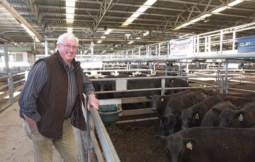 Willoughby's swansong met with pleasant returns