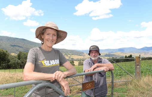 Landscape must be preserved, anti-battery group says