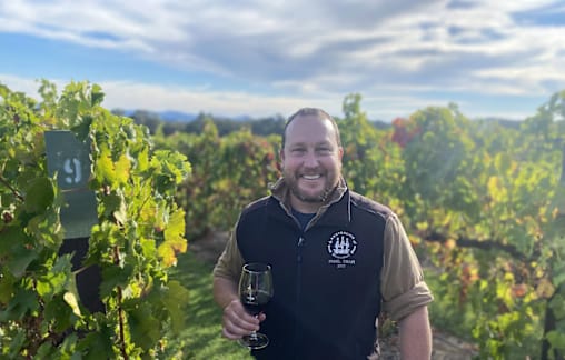 Wine makers optimistic as vintage ends