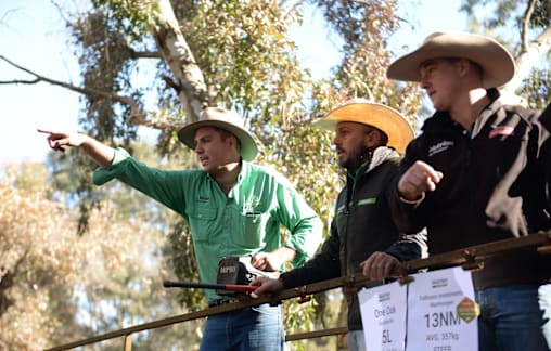 Dry autumn causes consternation, but some are optimistic