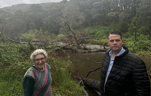 Ovens River tree blockage fears not shared by NECMA