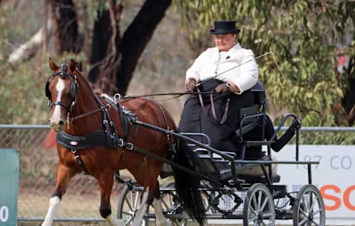 Australian Carriage Driving Championships come to Longwood