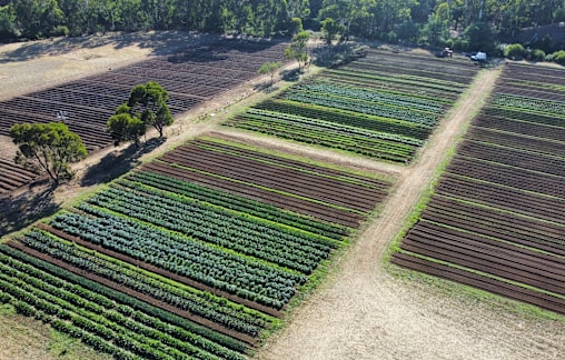 Plenty Valley Produce cultivates new growth in Flowerdale
