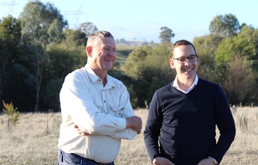 The rewilding of Karlindy