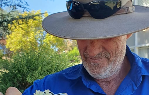 Reaping the benefits of vermiculture