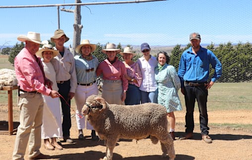 Greendale's top ram heads to Tassie