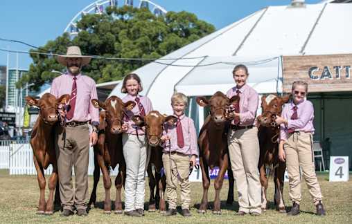 Sydney Royal award a 'team effort'
