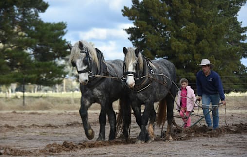 Watch a black and white photo come to life