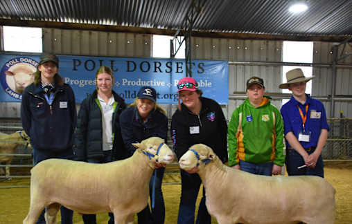 Students get an early look into ag careers