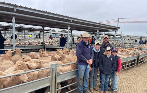 National record set as lambs reach $454