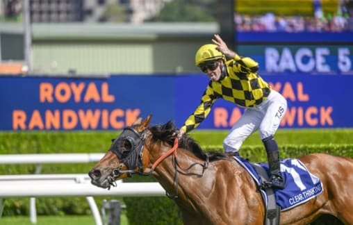 Jockey from Young takes home Kosciuszko in Randwick triumph