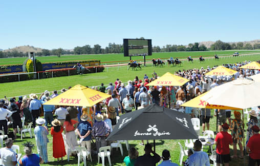Snake Gully Cup celebrates 40 years of country racing magic