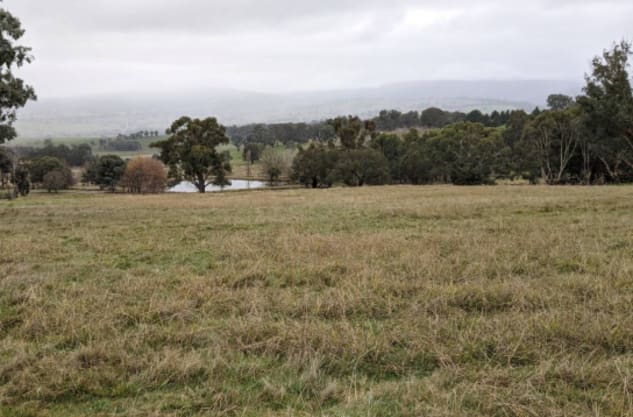 Council hits snooze button on lavender farm