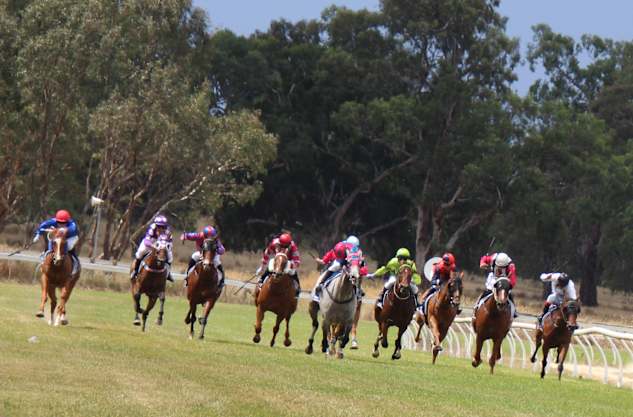 Solid performances at the Mansfield Races