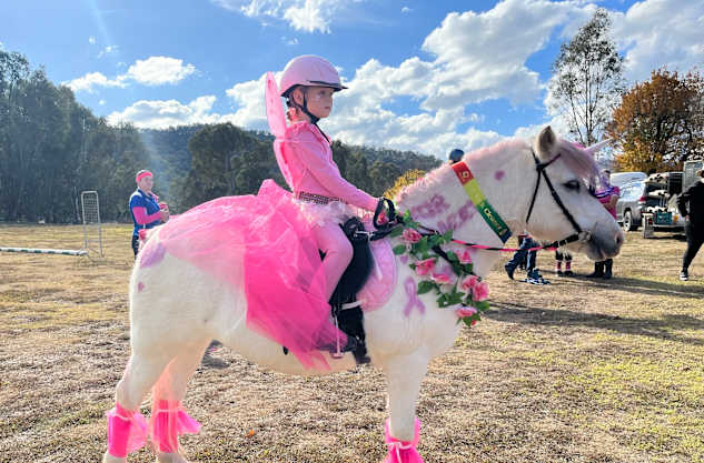 Pony club sees pink in the name of fundraising