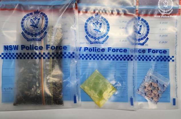 60 alleged drug charges for pair from Young