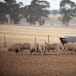 Dry seasonal conditions workshop Tuesday