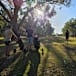 Open day for Boorhaman golf