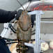 Freshwater crays worth rugging up for this winter