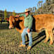 Cattle expected to be in big demand
