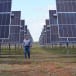 Casella Family Brands goes solar on grand scale