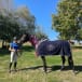 Local young equestrians shine at State Interschool Championships