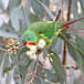 From Tasmania to here: swift action needed