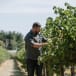 Brown Family Wine Group sites get sustainability tick