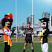 From Parkes Boar to Sydney Pirate