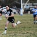 Magpies set to the defend nest