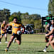 Goannas give their all before bumper crowd