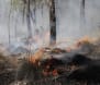 Fire in scrub land at Wangandary