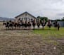 Ride honours the spirit of World War One light horsemen