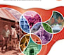 Mansfield Community and Business Directory 2025