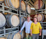 Exceptional vintage from the vines