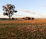 Funding to support climate smart agriculture