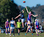 Bushies ready to face off against the Wahgunyah Lions