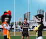 From Parkes Boar to Sydney Pirate