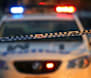 Man dies after car hits tree on Henry Parkes Way