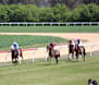 Great day of racing at Grenfell