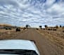 Stock on roads for months ahead
