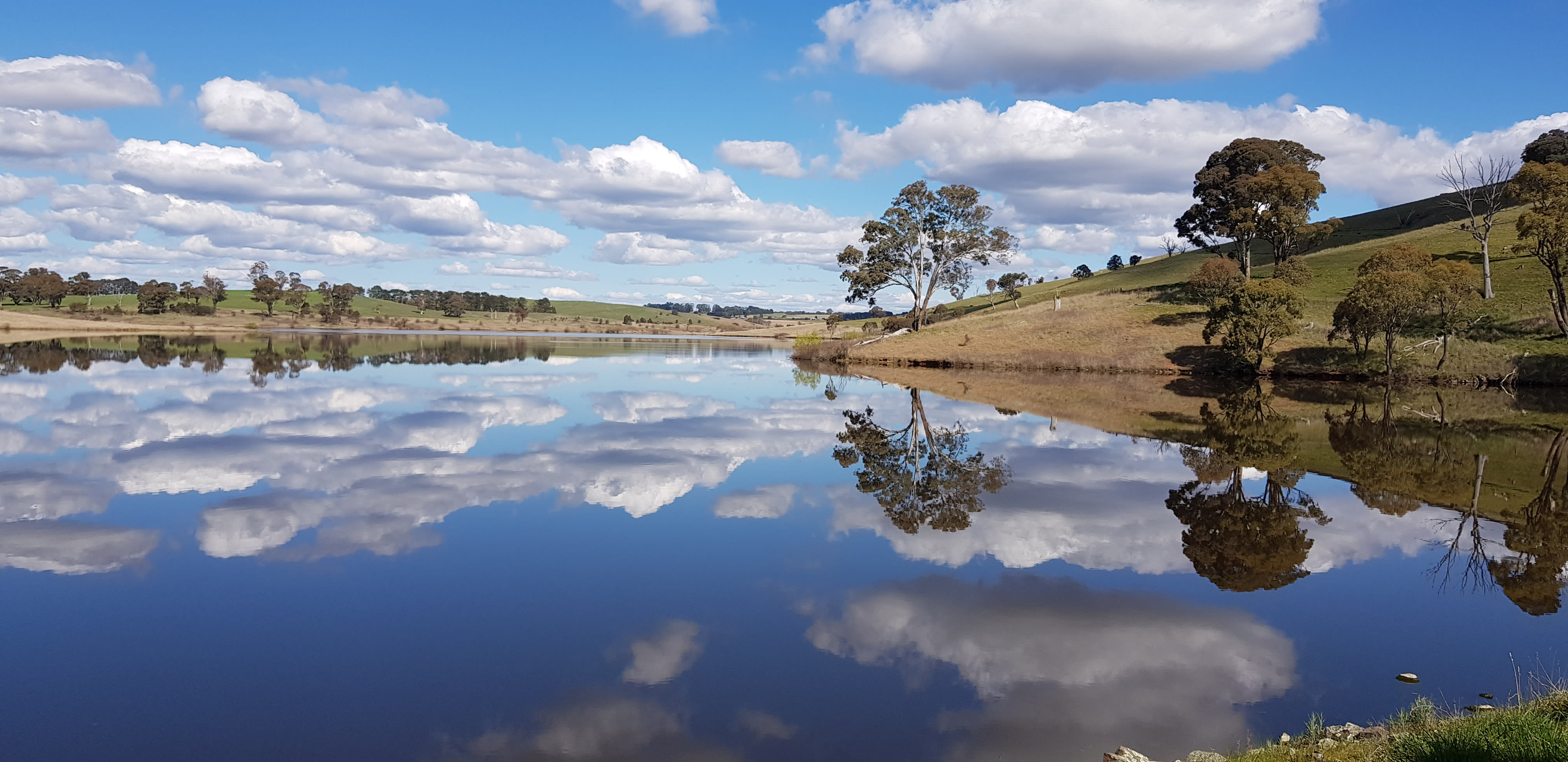 Belubula water security options narrowed down