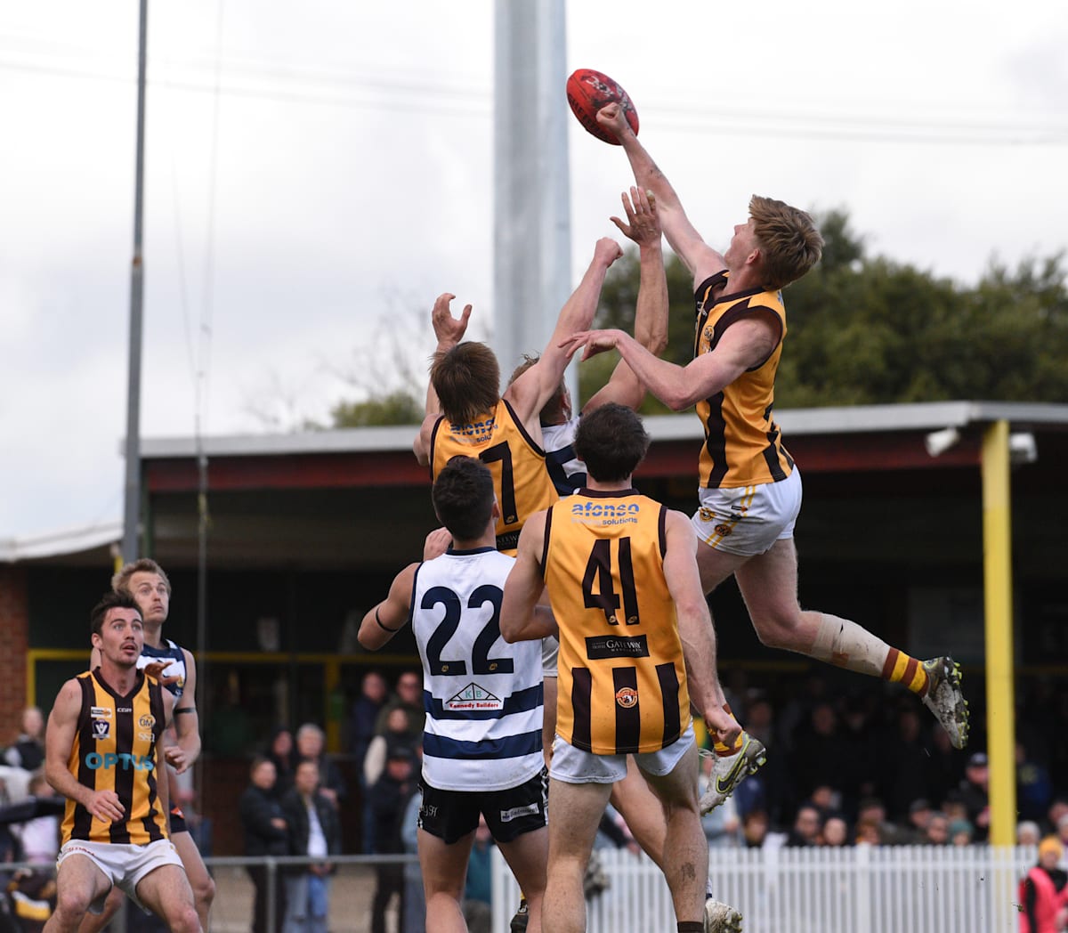 Murray signs with Essendon VFL