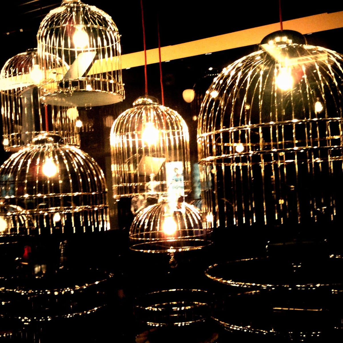 Why NZ Inc should electrify its gilded cage