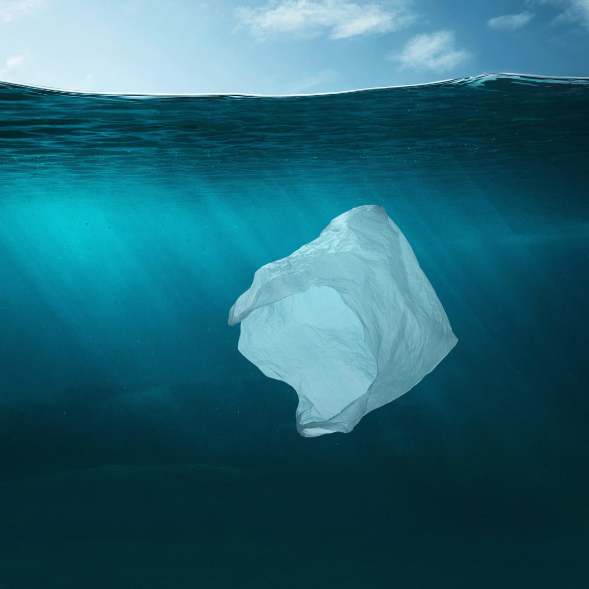 Plastic is plastic A greener alternative to reusable bags MOJO News