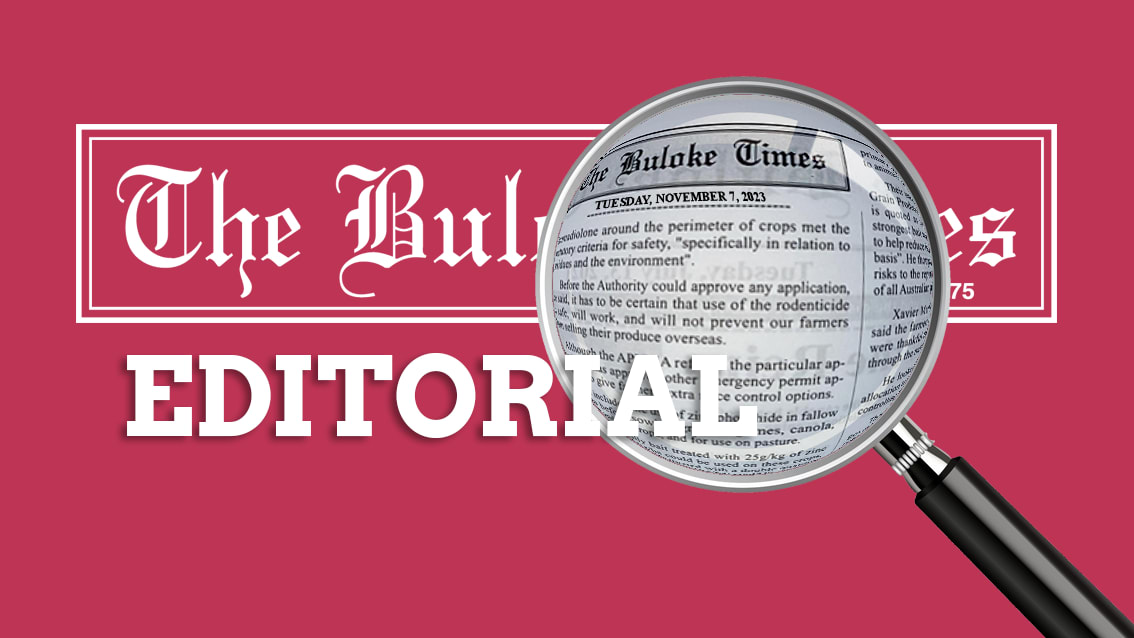 Editorial: Staying Safe from Mosquito borne Diseases