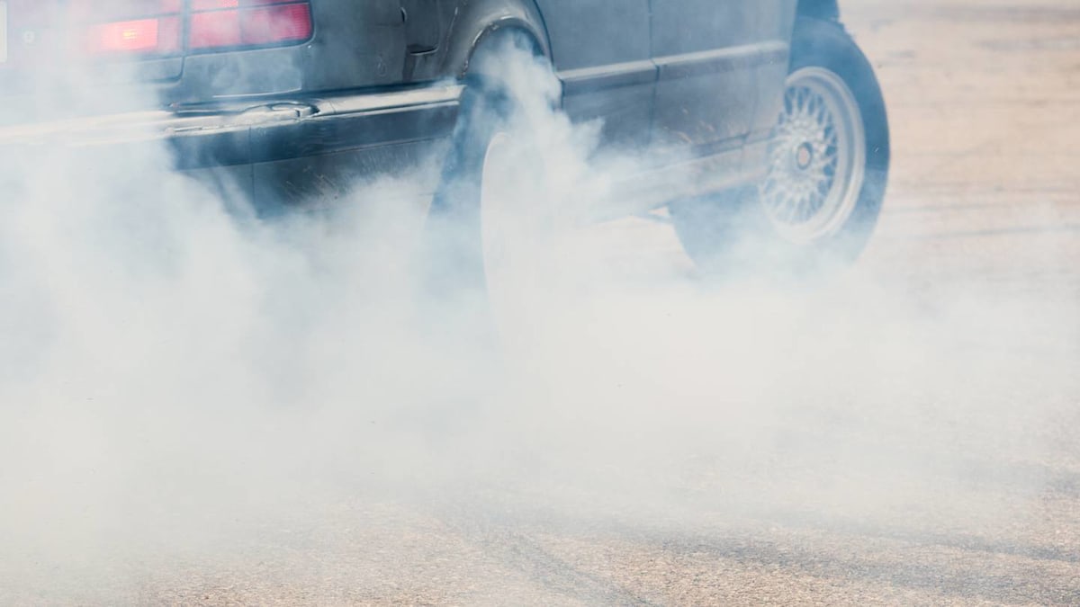 Shoplifter takes aim with car staff leap for safety